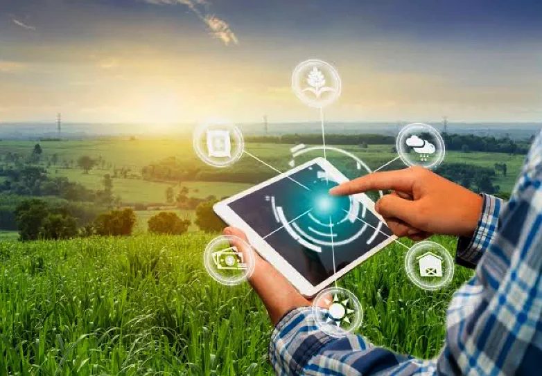 Somos capaces de resolver problemas de cobertura, garantizando una conectividad fiable incluso en los entornos más exigentes