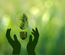 Transforma tu espacio. Ahorra, gana y lidera el cambio hacia un futuro más verde