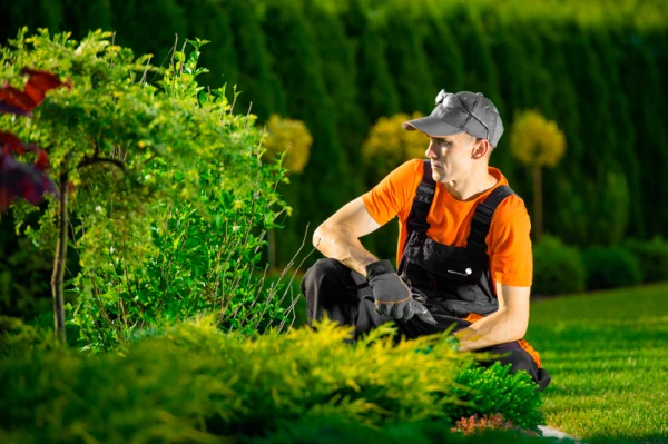 Soluciones de limpieza y mantenimiento para empresas y particulares